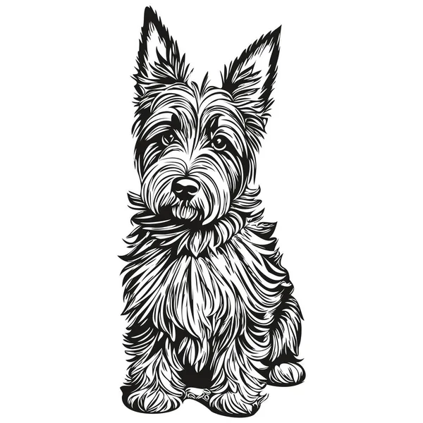 Skoç Teriyer Köpek Eli Çizilmiş Logo Siyah Beyaz Çizgi Çizen — Stok Vektör