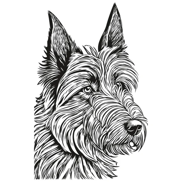 Scottish Terrier Cão Cabeça Linha Desenho Vetor Desenhado Mão Ilustração —  Vetores de Stock