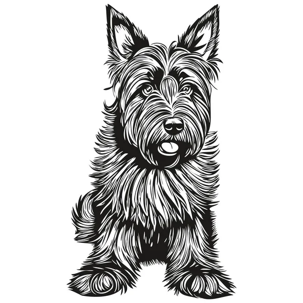 Croquis Encre Chien Scottish Terrier Dessin Tatouage Vintage Shirt Imprimé — Image vectorielle