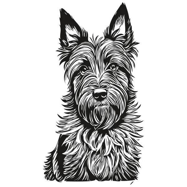 苏格兰色列犬水墨画 古色古香纹身或T恤衫 印刷黑白矢量 — 图库矢量图片
