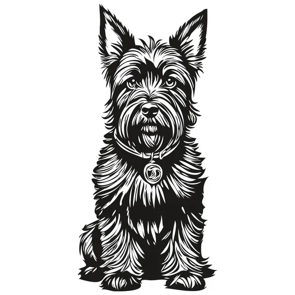苏格兰犬线条图解 矢量草图中的黑白墨水草图人脸肖像 — 图库矢量图片