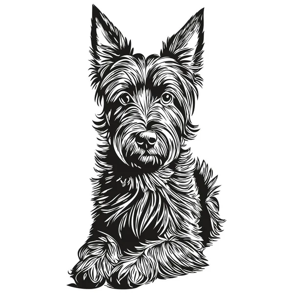 Szkocki Terrier Linii Pies Ilustracja Czarny Biały Szkic Twarz Portret — Wektor stockowy