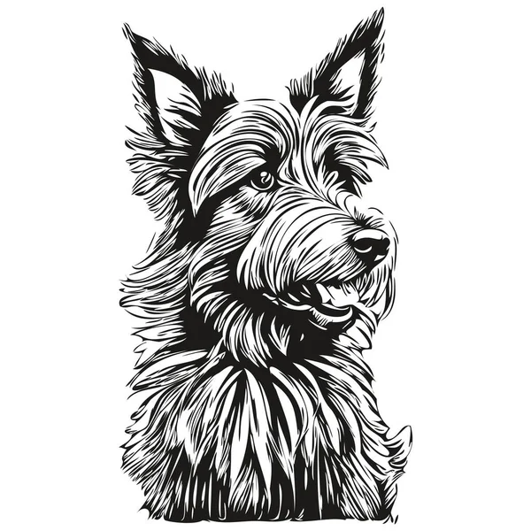 苏格兰土拨鼠标志矢量黑白 老式可爱的狗头雕刻 — 图库矢量图片