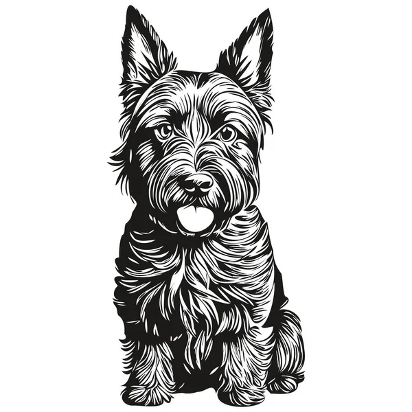 Escocés Terrier Perro Contorno Lápiz Dibujo Ilustraciones Carácter Negro Sobre — Archivo Imágenes Vectoriales