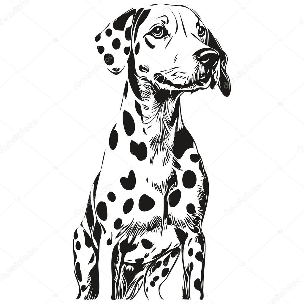 Dalmatian dog hand drawn logo drawing black and white line art pets illustration