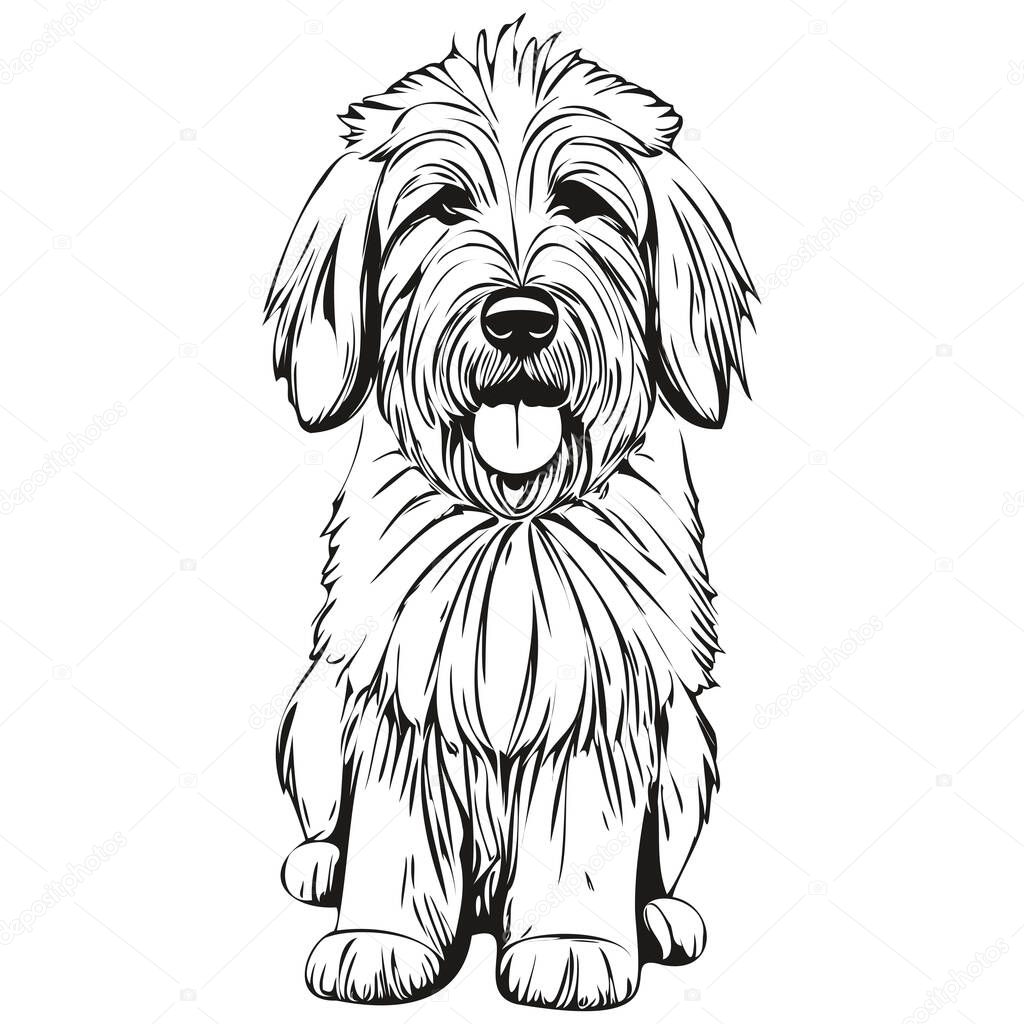 Old English Sheepdog dog logo vector black and white, vintage cute dog head engraved sketch drawing