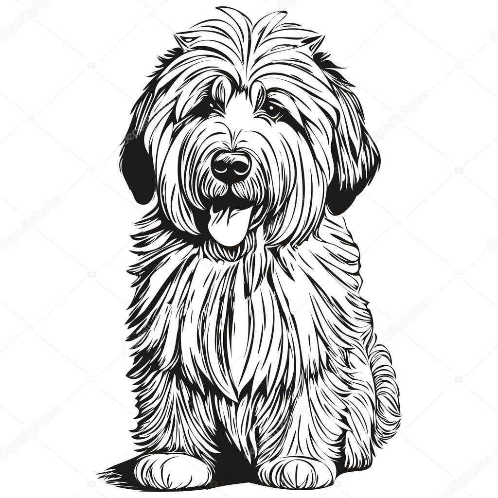 Old English Sheepdog dog t shirt print black and white, cute funny outline drawing vector