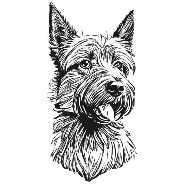 İskoç teriyer köpeği hayvan silueti, hayvan çizgisi çizim eli siyah beyaz vektör gerçekçi evcil hayvan.