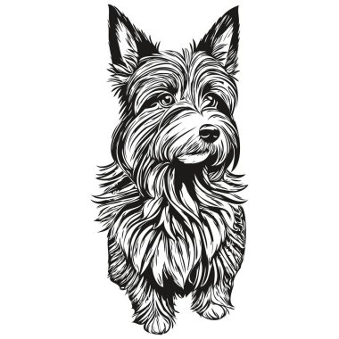 İskoç teriyer köpeği tişörtü siyah-beyaz, sevimli komik çizim vektörü gerçekçi hayvan cins.