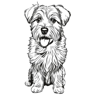 Sealyham Terrier köpeği tişörtü siyah beyaz, sevimli komik çizim vektörü