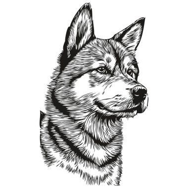 Shiba Inu köpek çizim vektörü, izole edilmiş yüz boyama çizim çizimi illüstrasyonu