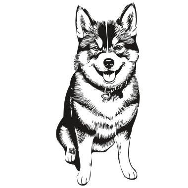 Shiba Inu köpek oymalı vektör portresi, karikatür vintage siyah beyaz çizim