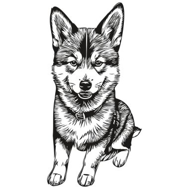 Shiba Inu köpek mürekkebi çizimi, klasik dövme veya tişört baskısı siyah beyaz vektör