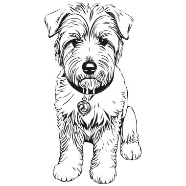 Yumuşak kaplamalı buğday soslu teriyer köpek silueti hayvan karakteri, klipsli sanat vektörü evcil hayvanları siyah beyaz çiziyor.