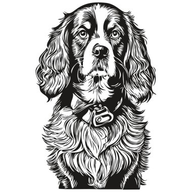 Spaniel Boykin köpek logosu siyah-beyaz, klasik köpek kafası oymalı.