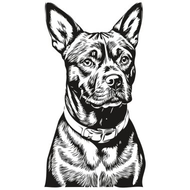 Staffordshire Boğa Teriyeri köpek oymalı vektör portresi, siyah beyaz karikatür vintage çizim