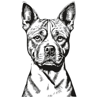 Staffordshire Boğa Teriyeri köpek eli siyah beyaz çizgi çizen resim çizimi.