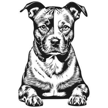 Staffordshire Boğa Teriyeri köpek logosu vektörü siyah beyaz, klasik şirin köpek kafası oyulmuş.