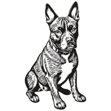 Staffordshire Boğa Teriyeri köpek çizimi kalem çizimi, beyaz arkaplanda siyah karakter