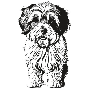 Tibetli Terrier köpek logosu siyah-beyaz, klasik köpek kafası oymalı.