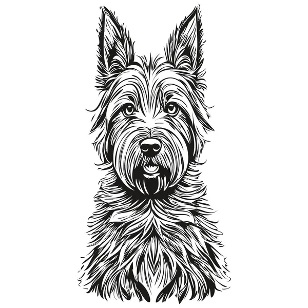 苏格兰色列犬宠物素描图解 黑白雕刻矢量逼真品种宠物 — 图库矢量图片