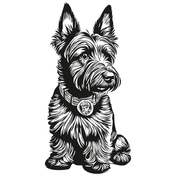 Escocés Terrier Perro Boceto Ilustración Grabado Blanco Negro Vector — Archivo Imágenes Vectoriales