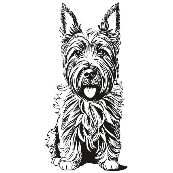 Scottish Terrier Portret Psa Wektor Zwierzę Ręka Rysunek Tatuaż Lub — Wektor stockowy