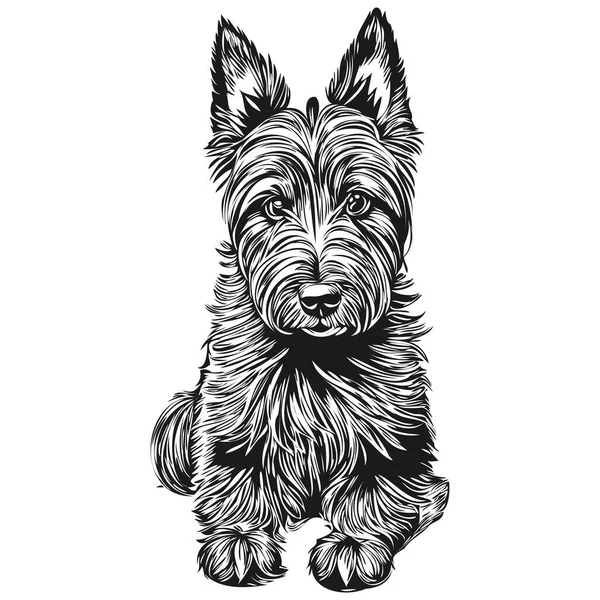 Scottish Terrier Σκυλί Συντροφιάς Σκίτσο Εικονογράφηση Μαύρο Και Άσπρο Σχέδιο — Διανυσματικό Αρχείο