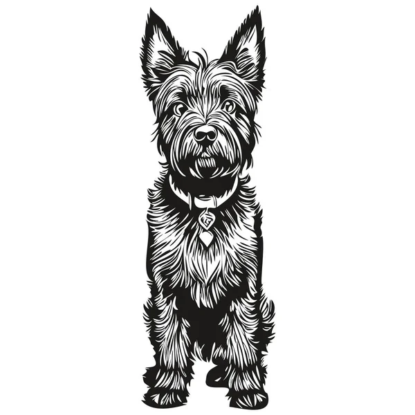 Portrait Chien Scottish Terrier Vecteur Dessin Animal Main Pour Tatouage — Image vectorielle