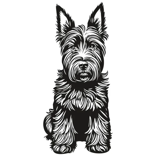 Chien Scottish Terrier Dessin Crayon Réaliste Vecteur Illustration Art Linéaire — Image vectorielle