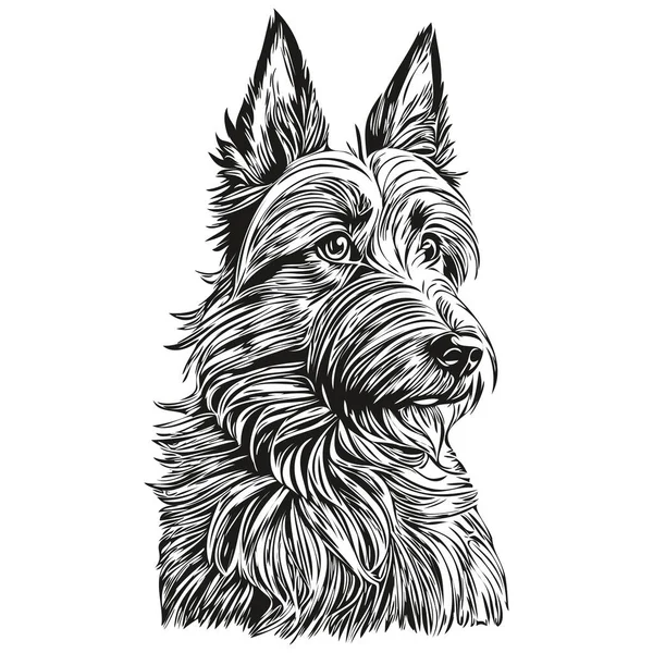 苏格兰色列犬写实主义铅笔矢量画图 狗脸黑白素描线条艺术图解 — 图库矢量图片