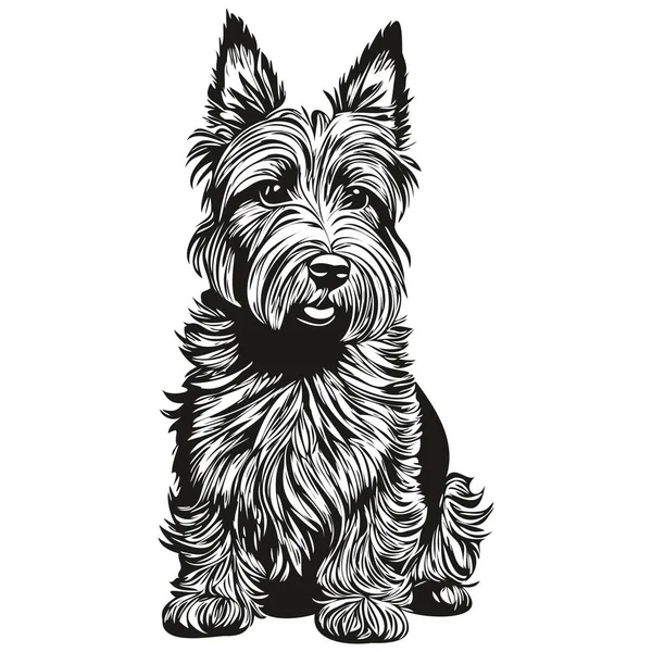 Scottish Terrier Σκυλί Ρεαλιστικό Σχέδιο Μολύβι Διάνυσμα Γραμμή Τέχνη Απεικόνιση — Διανυσματικό Αρχείο