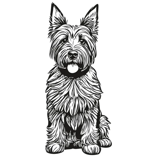 矢量中的苏格兰色列犬肖像 纹身或T恤衫图解中的动物手绘 — 图库矢量图片
