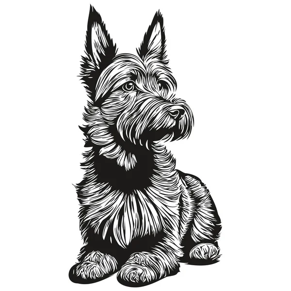 Scottish Terrier Σκυλί Ρεαλιστική Απεικόνιση Κατοικίδιων Ζώων Χέρι Σχέδιο Πρόσωπο — Διανυσματικό Αρχείο