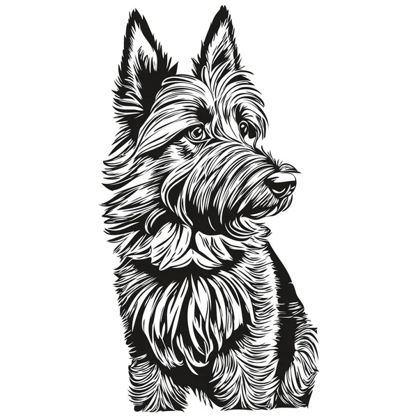 Scottish Terrier Chien Silhouette Animalier Personnage Clip Art Vecteur Animaux — Image vectorielle
