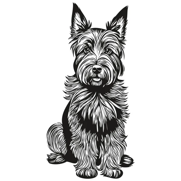 Scottish Terrier Σκυλί Σιλουέτα Κατοικίδιο Ζώο Χαρακτήρα Κλιπ Τέχνης Διάνυσμα — Διανυσματικό Αρχείο