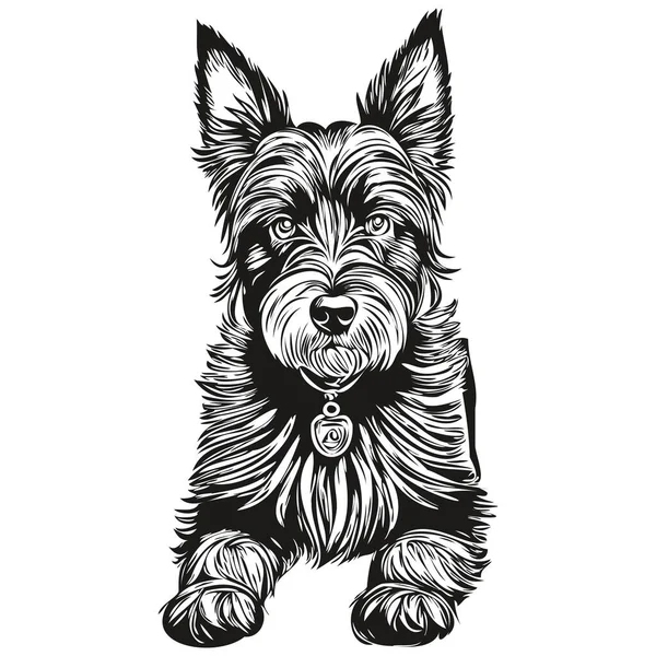 Chien Terrier Écossais Graphiques Vectoriels Crayon Dessiné Main Dessin Illustration — Image vectorielle