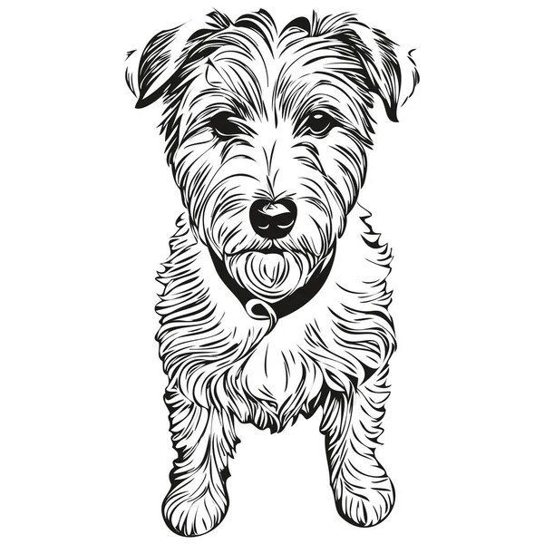 赛利厄姆特里耶犬种画线 剪贴画动物手画线 黑白相间 — 图库矢量图片