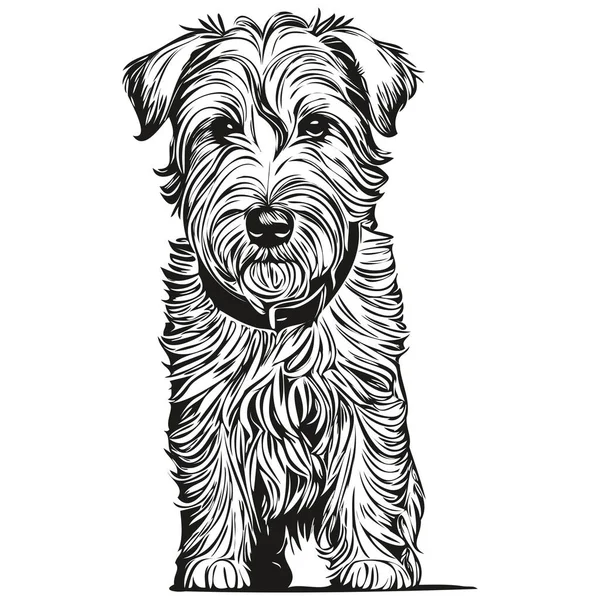 赛利厄姆 特雷埃犬雕刻矢量画像 黑白逼真品种宠物面部卡通画 — 图库矢量图片