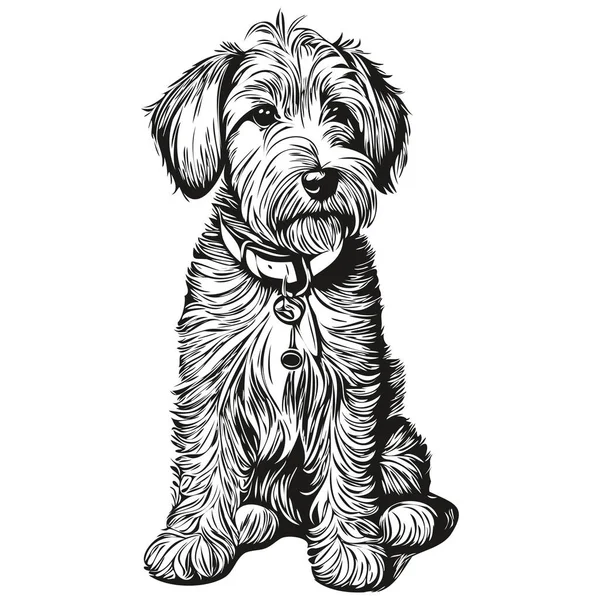 Sealyham Terrier Chien Dessiné Main Logo Dessin Noir Blanc Ligne — Image vectorielle