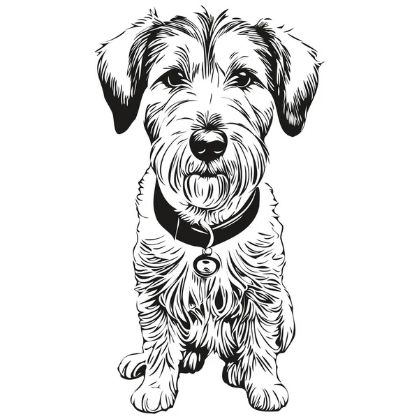 Sealyham Terrier Chien Tête Ligne Dessin Vecteur Illustration Dessinée Main — Image vectorielle