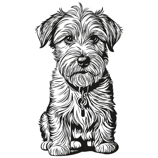 Dibujo Boceto Tinta Para Perros Sealyham Terrier Tatuaje Vintage Camiseta — Archivo Imágenes Vectoriales