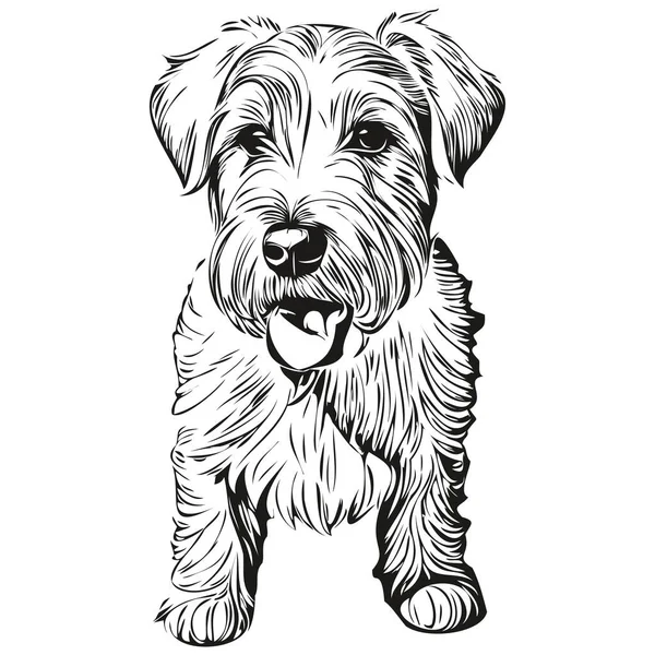 Sealyham Terrier犬の線イラスト 黒と白のインクスケッチ顔の肖像画ベクトル — ストックベクタ