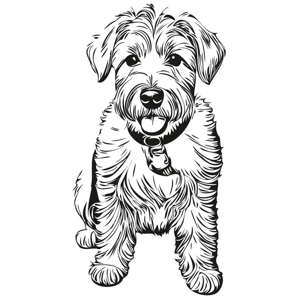 Sealyham Terrier นสอวาดด วยม อเวกเตอร ภาพวาดบรรท ดโลโก ใบหน ยงส าและส — ภาพเวกเตอร์สต็อก