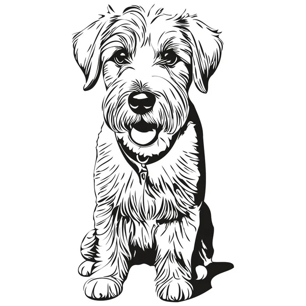Sealyham Terrier Haustier Skizze Illustration Schwarz Weiß Gravur Vektor Realistische — Stockvektor