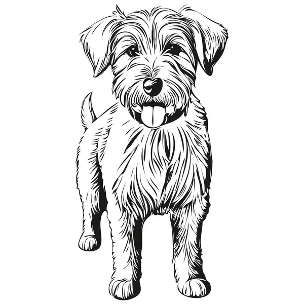 Sealyham Terrier犬の現実的な鉛筆画ベクトル 犬の顔の黒と白のラインアートイラスト — ストックベクタ