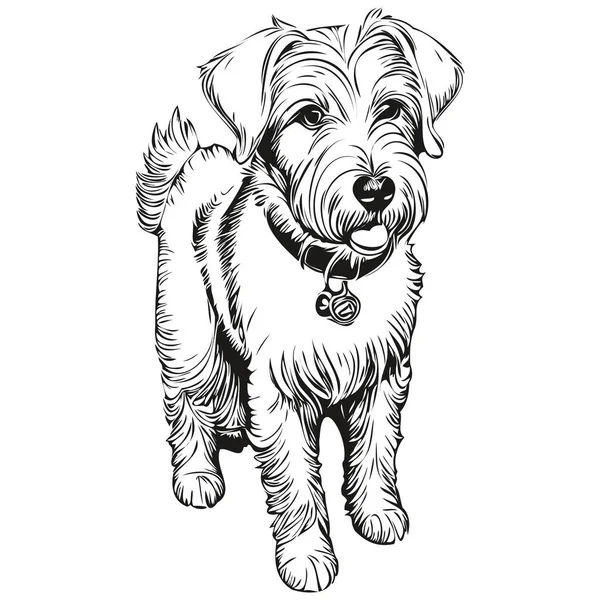 Sealyham Terrier Hund Realistische Haustier Illustration Handzeichnung Gesicht Schwarz Weiß — Stockvektor
