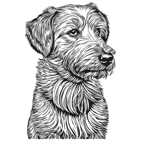 Sealyham Terrier Chien Croquis Illustration Vecteur Gravure Noir Blanc — Image vectorielle