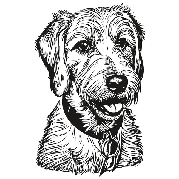 Sealyham Terrier Perro Vector Cara Dibujo Retrato Bosquejo Estilo Vintage — Vector de stock