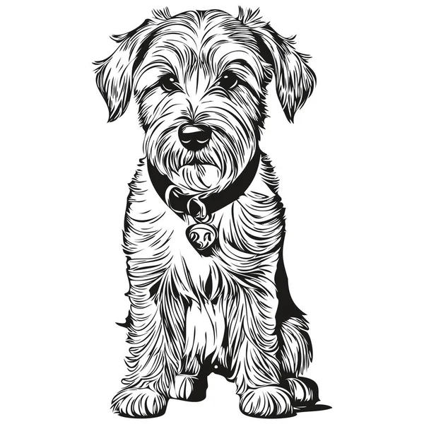 Sealyham Terrier Hund Vektor Grafik Handritad Penna Djur Linje Illustration — Stock vektor
